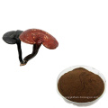 Free sample 10%-50% polysaccharides Ganoderma lucidum reishi mushroom extract powder